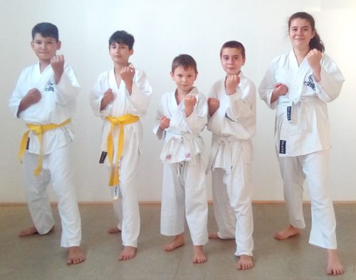 karate für kinder